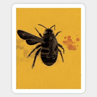 Save The Bees Sticker